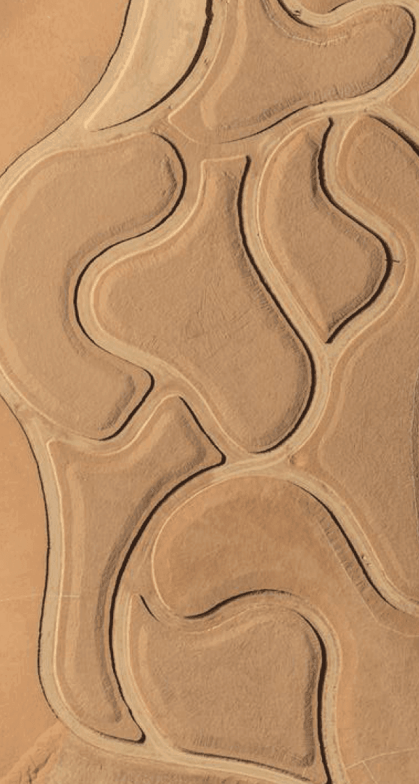 King Salman Park project