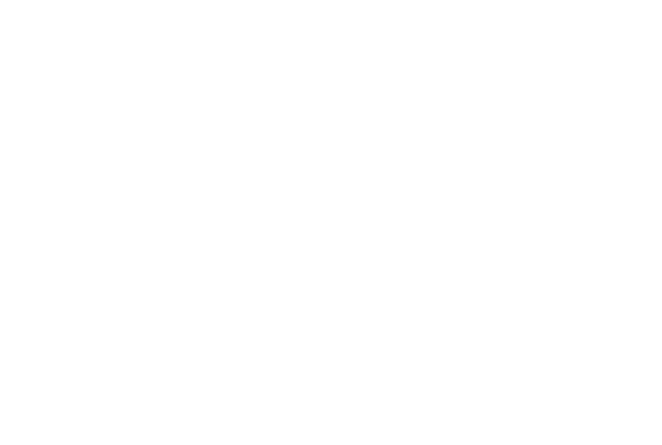General Organization for Social Insurance