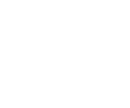 Entrepreneurship Vision logo
