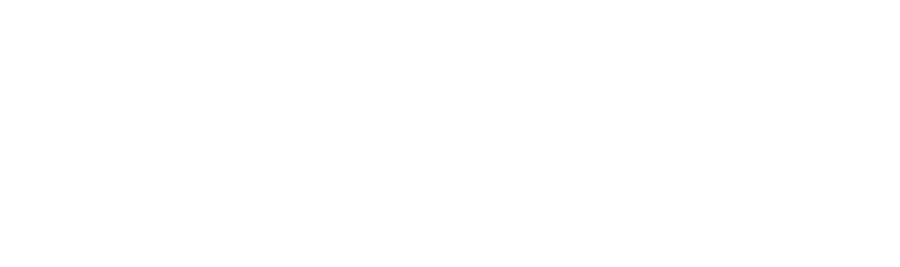 Merak Capital logo