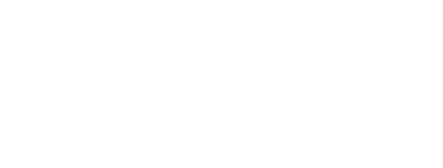 Nest Accelerator logo