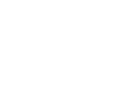 Pakistan Regional Economic Forum logo